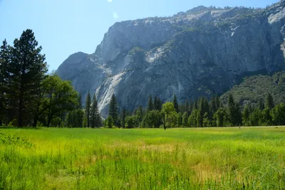 DSC_2374 (Large).JPG